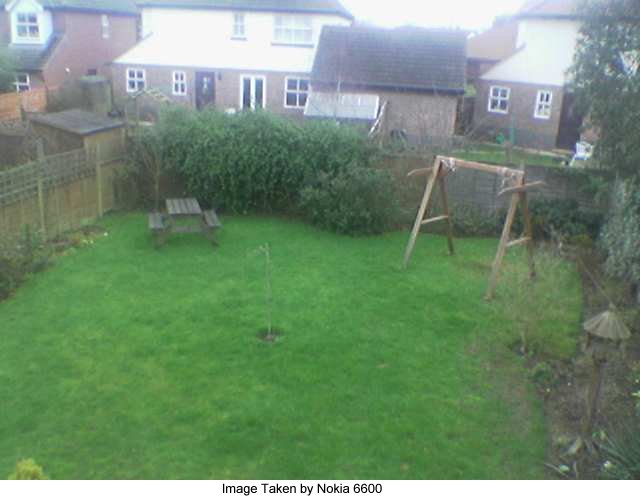 Nokia 6600 Picture