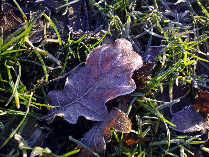 Photo example from the Nokia 5800 XpressMusic - click to enlarge or download