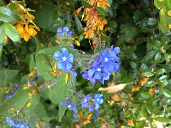 E75 sample photo, click to download or enlarge