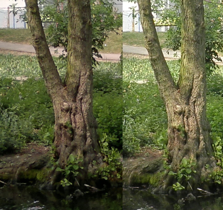 Cropped images, E7 vs Olympus