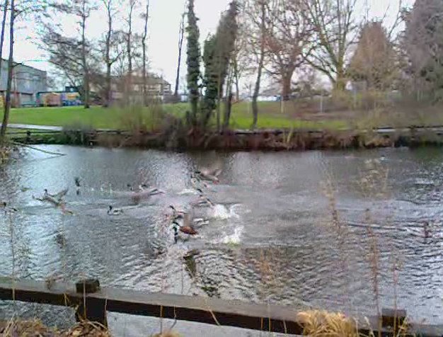 Frame grab from E90 captured video