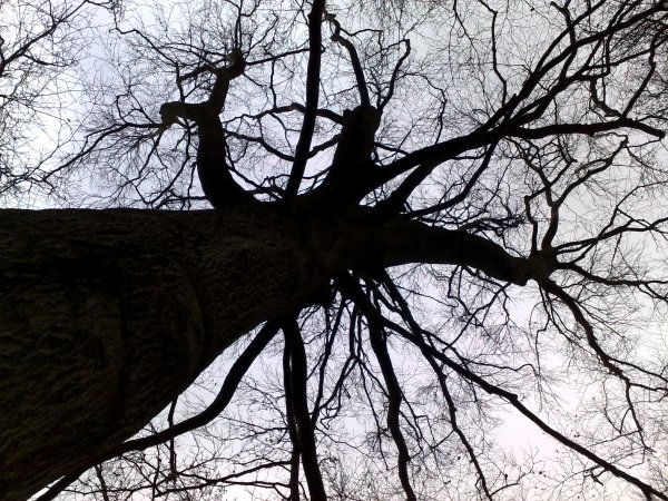 Example photo
