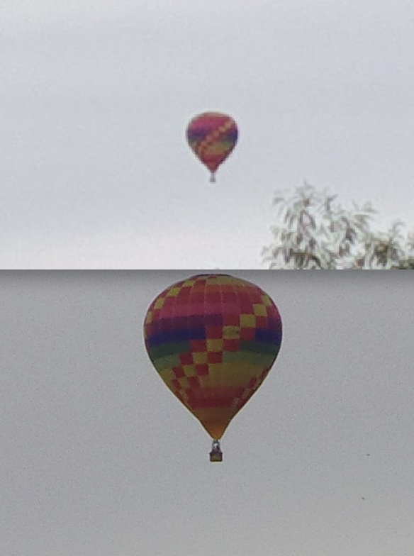 Crop comparison