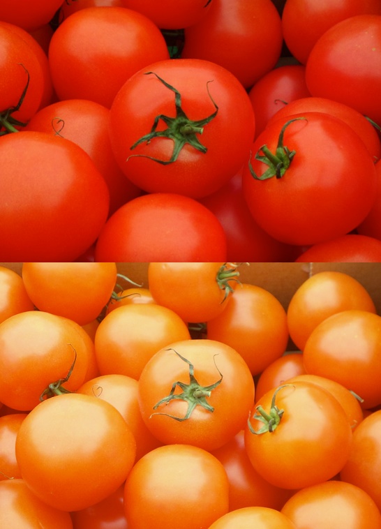 Crop comparison