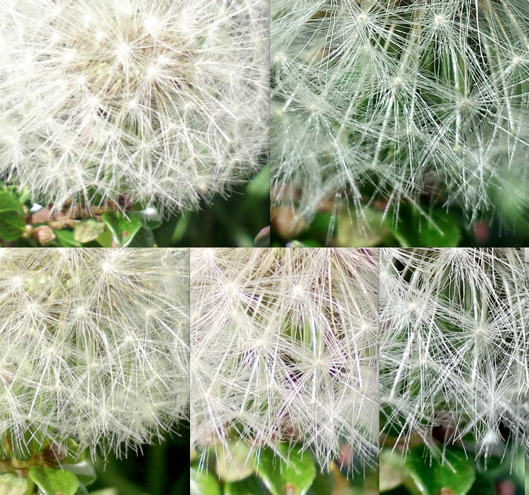 Crops!