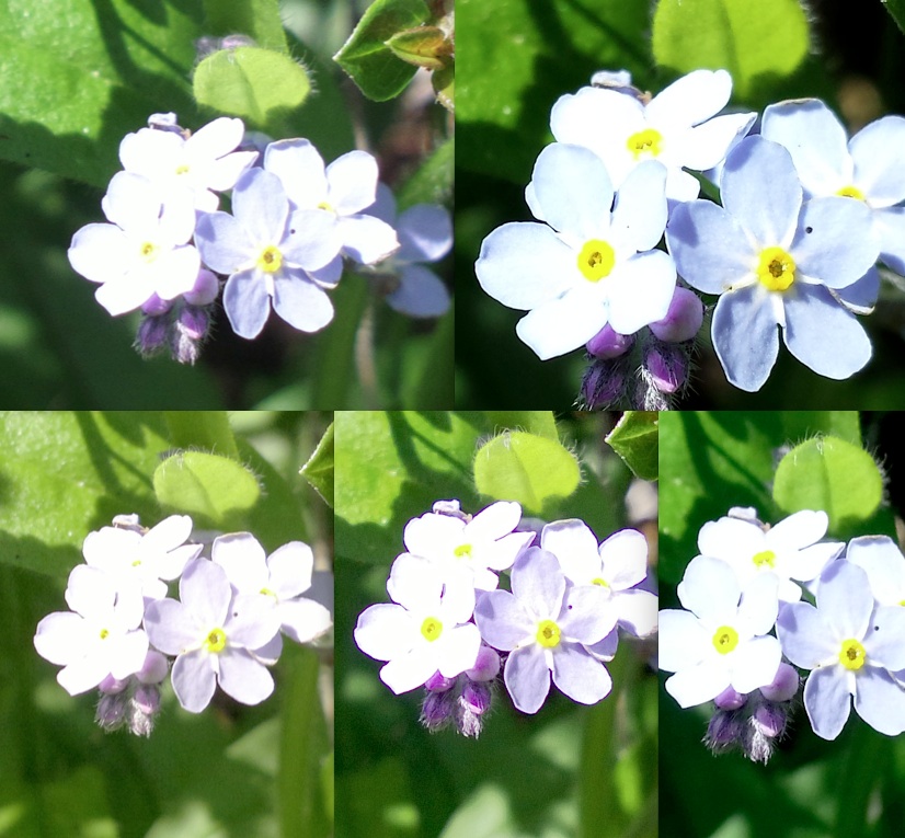 Crops!