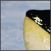 paddytb's Avatar
