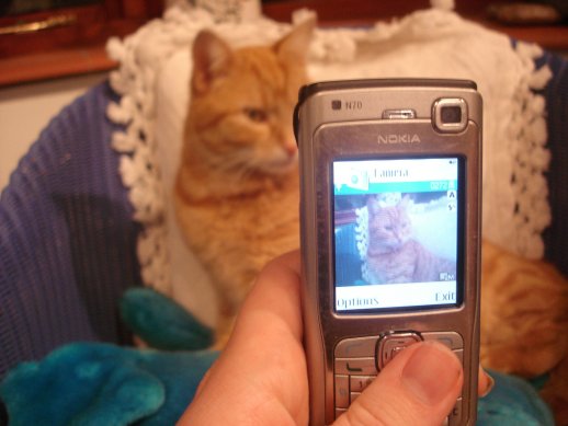 Splat the Cat