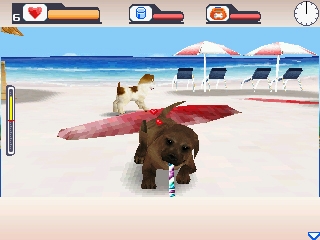 Dogz for Ngage on the beach
