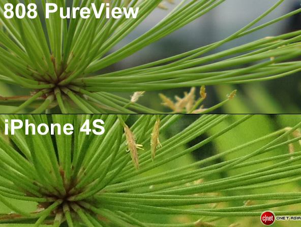 Cropped comparison