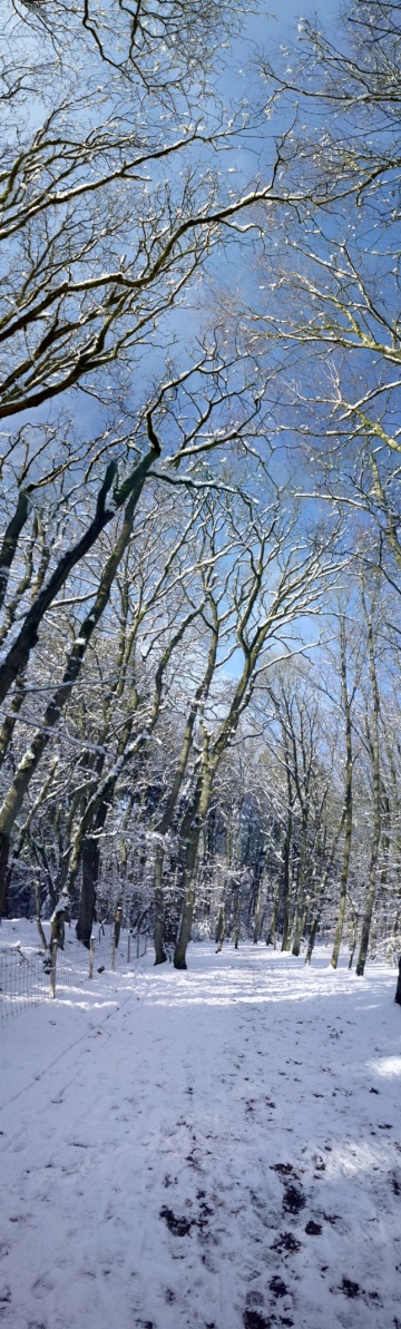 Vertical panorama