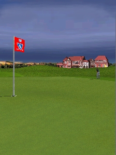 Pro Series Golf for Ngage flag