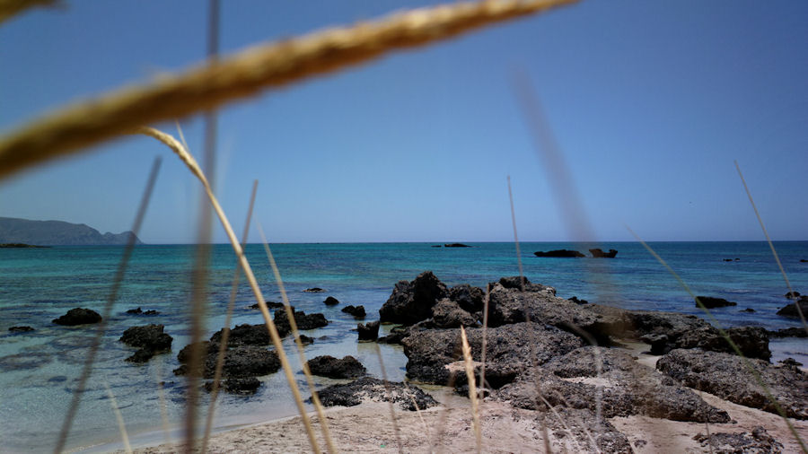 PureView sample
