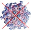 Virus - not allowed