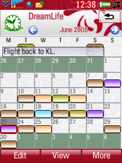 DreamLife Month View