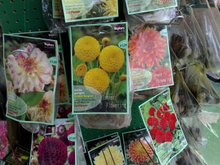 N95-taken sample photo