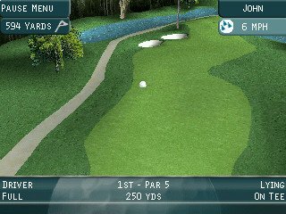Pro Series Golf Screenshot