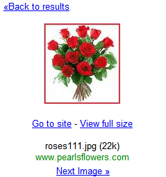 Screenshot Google Mobile Images