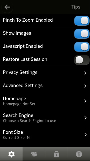 Star Browser screenshot