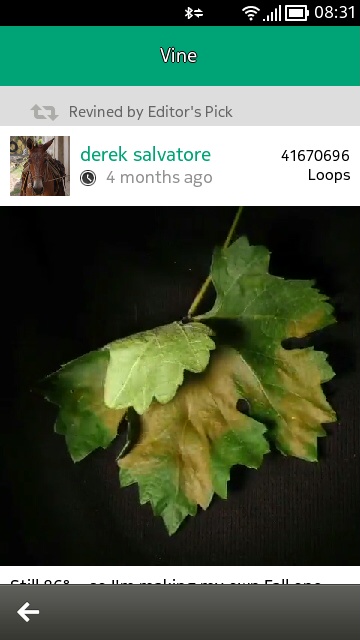 Vine screenshot