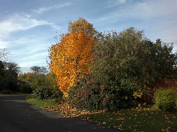 Sample C7 photo, click to enlarge or download