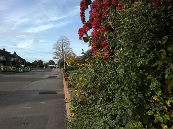 Sample C7 photo, click to enlarge or download