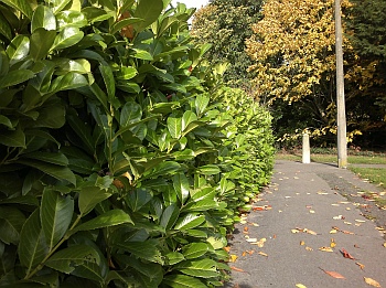 Sample C7 photo, click to enlarge or download