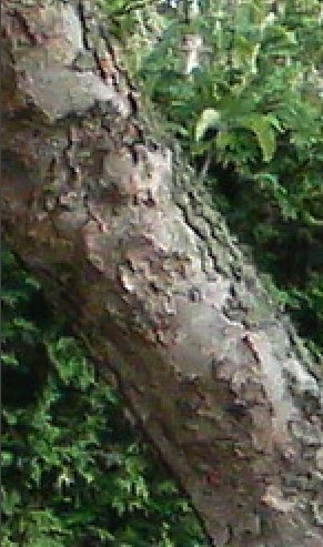 Test shot 0