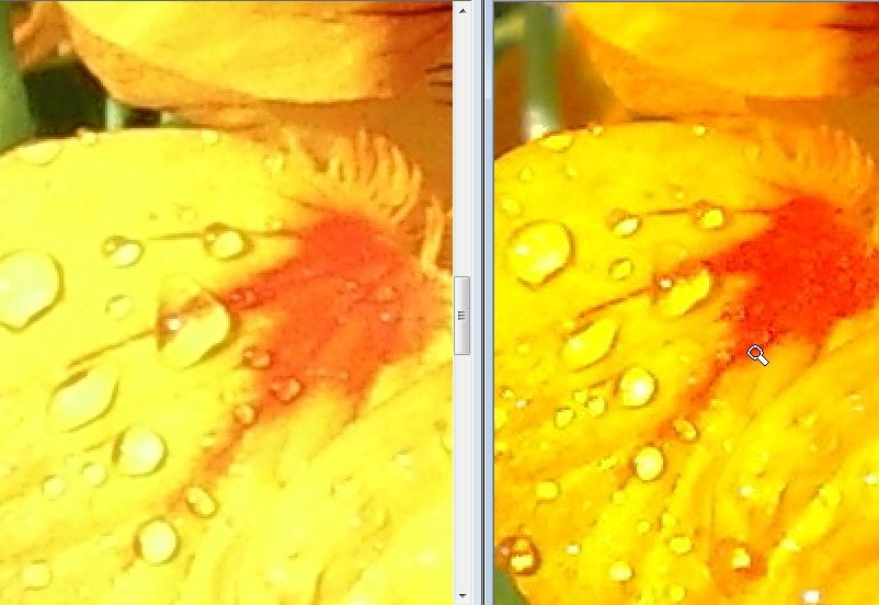 Comparison