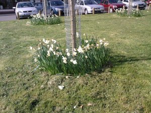 i550 photo sample