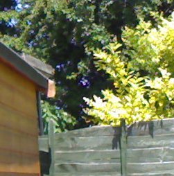 N70 photo fragment