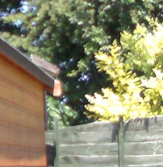 N80 photo fragment