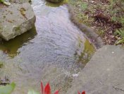 thumbnail from video sequence