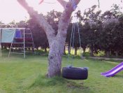 thumbnail from video sequence