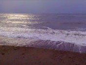 thumbnail from video sequence