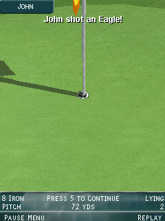Pro Series Golf pin capture