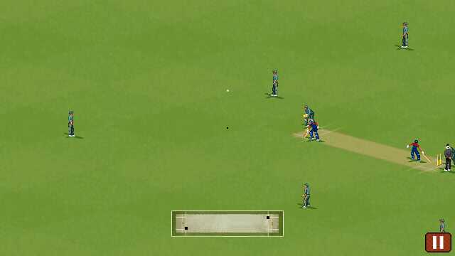 Animated Batsman