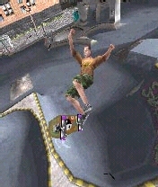 The REAL Tony Hawks